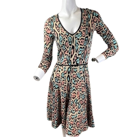 BCBGMaxAzria Dresses & Skirts - BCBGMAXAZRIA Leopard Print Fit and Flair Skater Dress Size Small